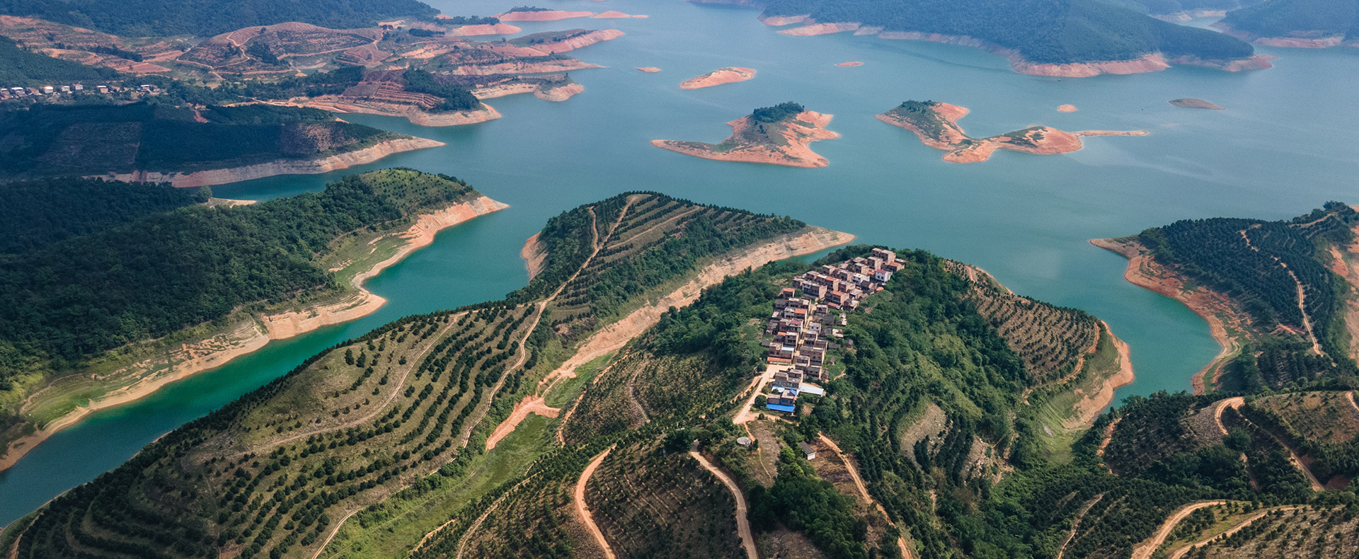 乐鱼体育广西百色坚果原料种植基地